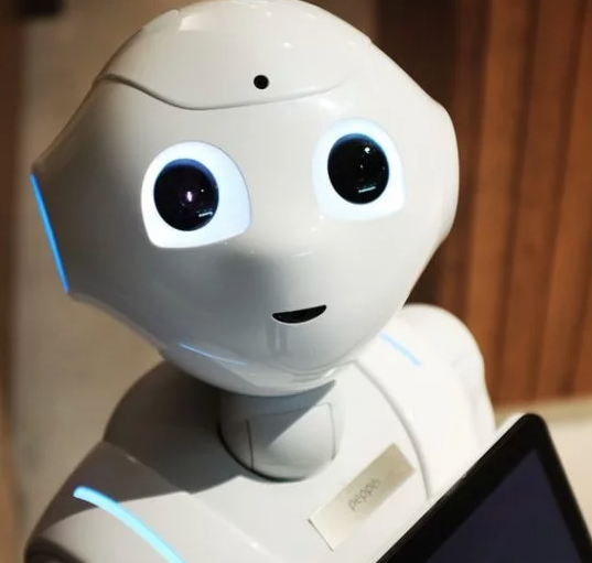 AI-based autonomous robot preview