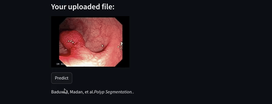 Demo GIF